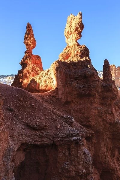 Large hoodoos strongly lit by early morning sun in winter, Queens Garden Trail, Bryce Canyon National Park, Utah, United States of America, North America