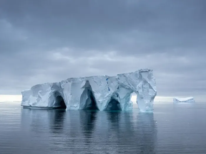 Framed Print : Large icebergs floating in the Bellingshausen Sea, Antarctica, Polar Regions Framed Print : Large icebergs floating in the Bellingshausen Sea, Antarctica, Polar Regions