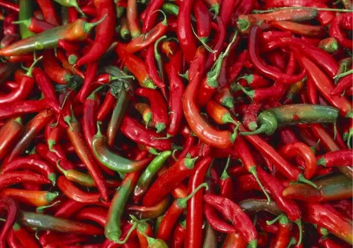 Framed Print : Large Pile of Red and Green Chillies