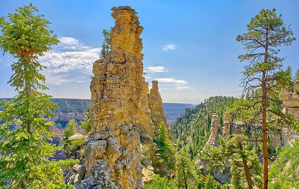 Large rock spires on the cliff of Transept Canyon along the Widforss Trail at Grand
