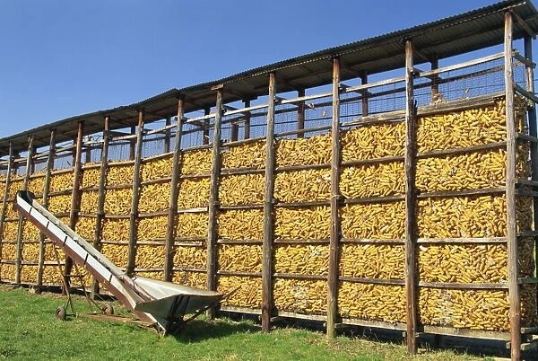 Large wire cages of a maize store on a farm near Chambery, Savoie (Savoy) in the Rhone Alpes