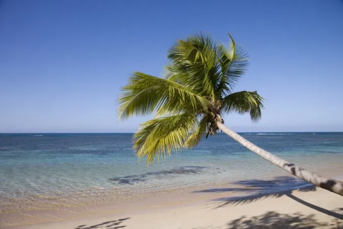 Framed Print : Las Terrenas, Samana Peninsula, Dominican Republic, West Indies, Caribbean, Central America