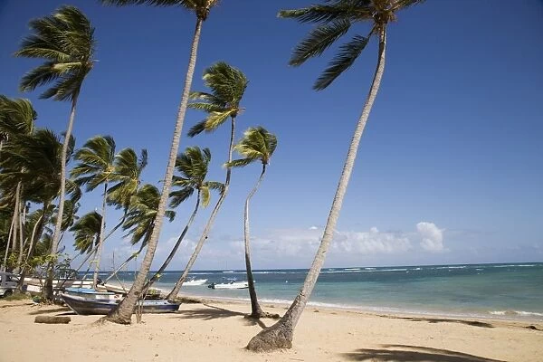 Las Terrenas, Samana Peninsula, Dominican Republic, West Indies, Caribbean