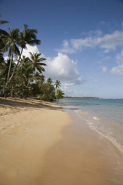 Las Terrenas, Samana Peninsula, Dominican Republic, West Indies, Caribbean