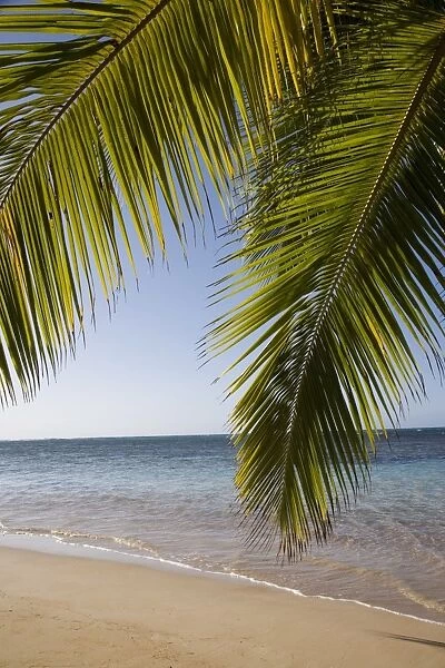 Las Terrenas, Samana Peninsula, Dominican Republic, West Indies, Caribbean, Central America