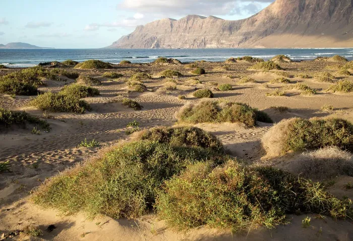 Framed Print : Late afternoon light on beach and cliffs La Caleta de Famara, Lanzarote, Canary islands, Spain, Atlantic, Europe Framed Print : Late afternoon light on beach and cliffs La Caleta de Famara, Lanzarote, Canary islands, Spain, Atlantic, Europe