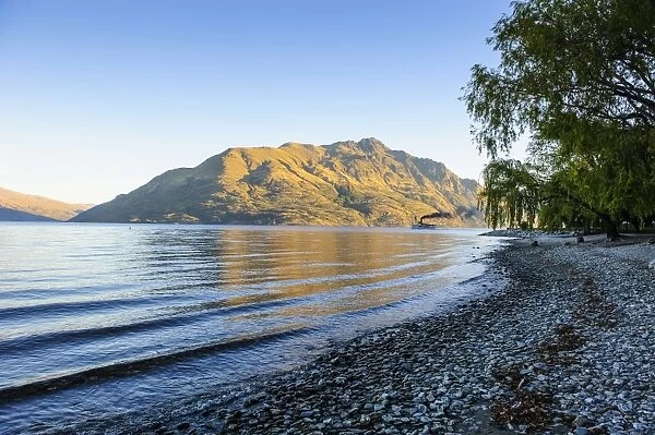 Late afternoon light over the shores of Lake Wakatipu, Queenstown, Otago, South Island, New Zealand, Pacific