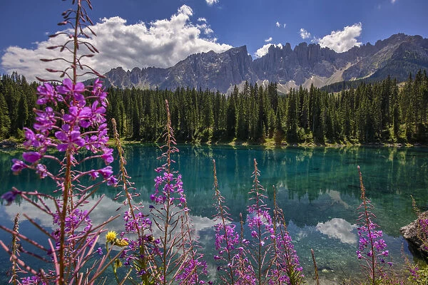 Latemar mountain range reflected in Lake Carezza (Karersee) in summer, South Tyrol