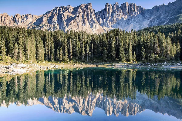 Latermar and larch forest reflected in the Carezza Lake at sunset, Carezza