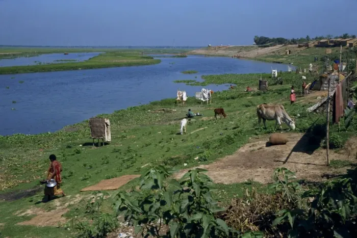 Framed Print : Latrines on the river bank in rough land grazed by cows in a slum in Dhaka Framed Print : Latrines on the river bank in rough land grazed by cows in a slum in Dhaka