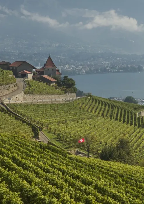Framed Print : Lavaux terraced vineyards on Lake Geneva, Montreux, Canton Vaud, Switzerland, Europe Framed Print : Lavaux terraced vineyards on Lake Geneva, Montreux, Canton Vaud, Switzerland, Europe