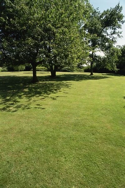 Lawn in an Oxfordshire garden, England, United Kingdom, Europe