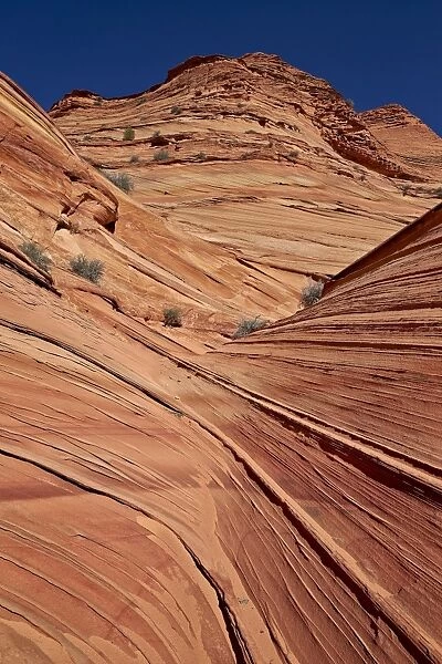 Layered sandstone, Coyote Buttes Wilderness, Vermilion Cliffs National Monument, Arizona, United States of America, North America