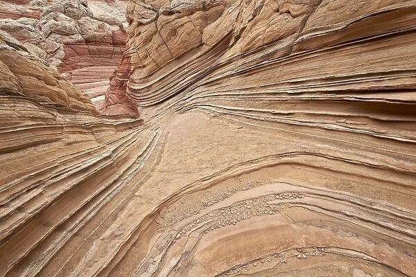 Layers of tan sandstone, White Pocket, Vermilion Cliffs National Monument, Arizona, United States of America, North America