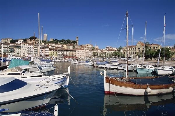 Le Suquet and harbour, Old Town, Cannes, Alpes Maritimes, Provence, Cote d Azur