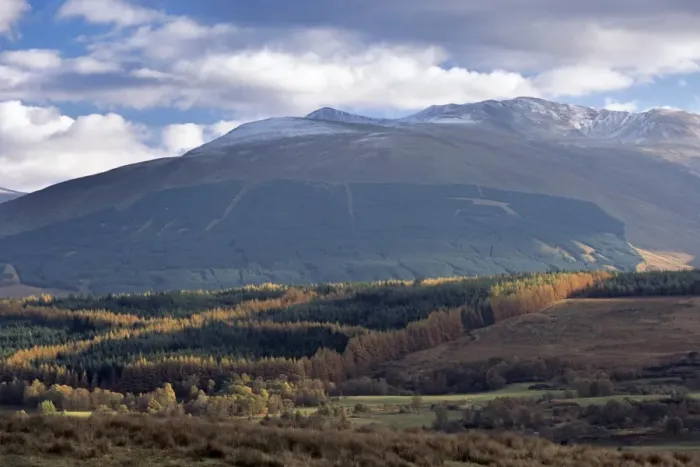 Framed Print : Leanachan Forest and Ben Nevis massif from the north Framed Print : Leanachan Forest and Ben Nevis massif from the north