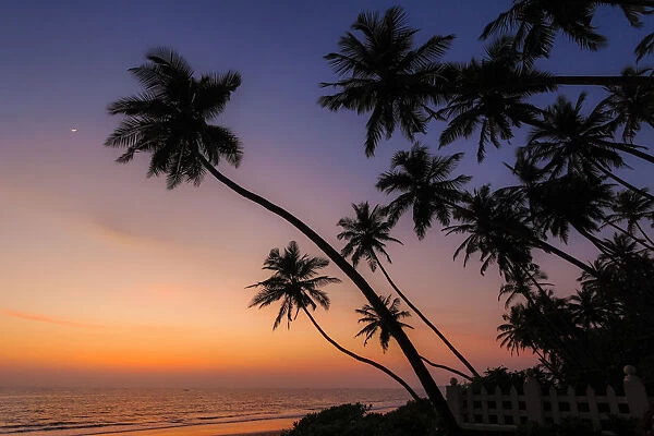 Leaning palm trees at sunset on lovely unspoilt Kizhunna Beach