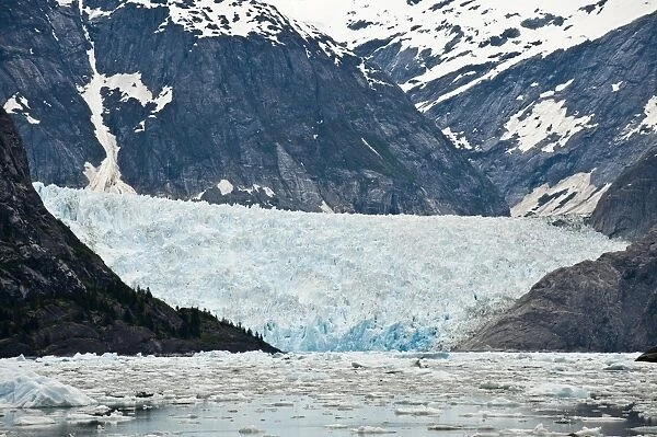 LeConte Glacier in LeConte Bay, Southeast Alaska, Alaska, United States of America