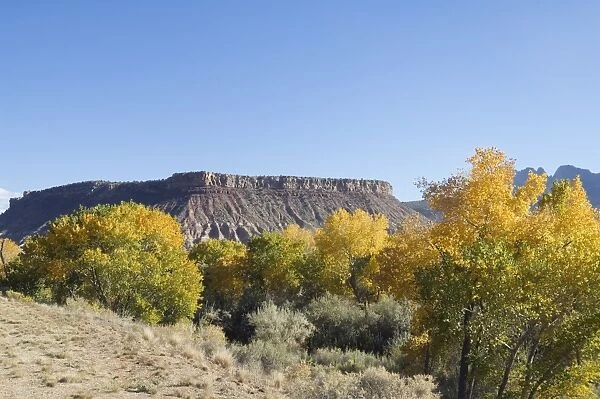 _LEF4762. Landscape near Zion National Park, Utah, United States of America, North America