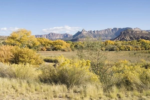 _LEF4769. Landscape near Zion National Park, Utah, United States of America, North America