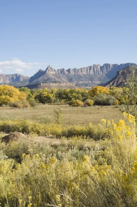 Framed Print : _LEF4776. Landscape near Zion National Park, Utah, United States of America, North America Framed Print : _LEF4776. Landscape near Zion National Park, Utah, United States of America, North America