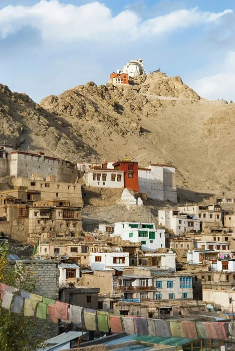Framed Print : Leh, Ladakh region, state of Jammu and Kashmir, India, Asia Framed Print : Leh, Ladakh region, state of Jammu and Kashmir, India, Asia