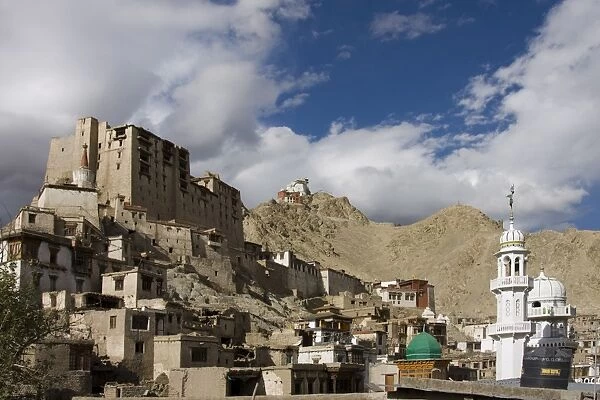 Leh Palace, Leh, Ladakh, India, Asia