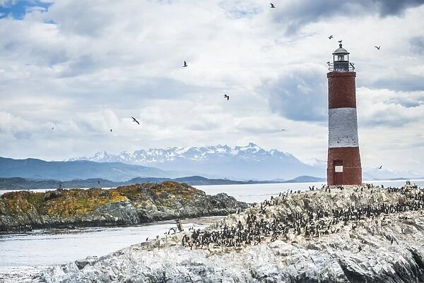 Les Eclaireurs Lighthouse and cormorant colony on an island in the Beagle Channel