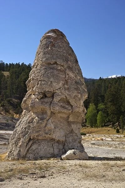 Liberty Cap, a dormant hot spring cone, Mammoth Hot Springs, Yellowstone National Park, UNESCO World Heritage Site, Wyoming, United States of America, North America