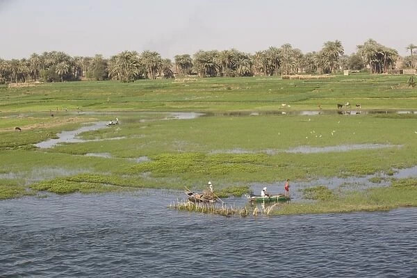 Life along the River Nile, near Aswan, Egypt, North Africa, Africa