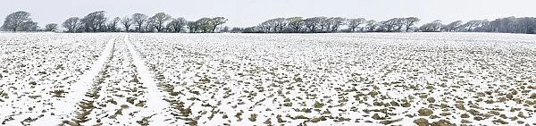 Light dusting of snow on ploughed field, West Sussex, England, United Kingdom, Europe