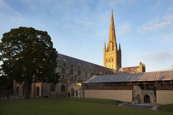 Last light on the spire at Norwich Cathedral, Norwich, Norfolk, England, United Kingdom, Europe