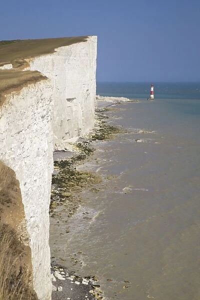 Lighthouse and cliffs at Beachy Head, East Sussex, England, United Kingdom, Europe