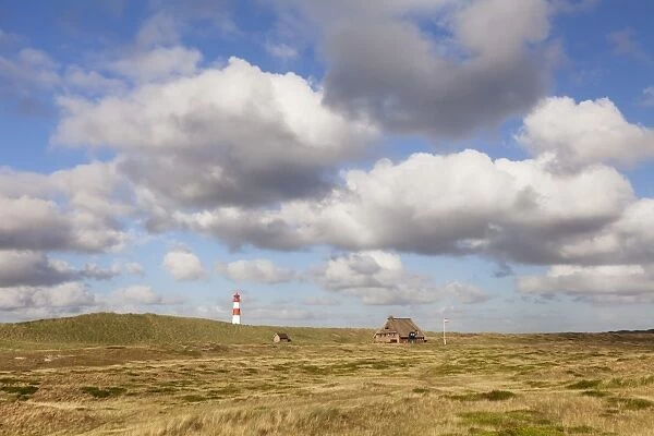 Lighthouse List Ost and Frisian house, Ellenbogen, Sylt Island, North Frisian Islands, Schleswig Holstein, Germany, Europe