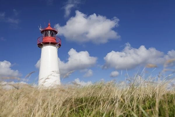 Lighthouse List West, Ellenbogen, Sylt, North Frisian Islands, Nordfriesland, Schleswig Holstein, Germany, Europe