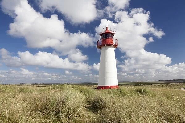 Lighthouse List West, Ellenbogen, Sylt Island, North Frisian Islands Schleswig Holstein, Germany, Europe