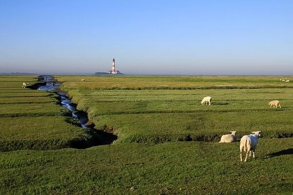 Lighthouse in the Wadden Sea National Park, Westerhever, Schleswig-Holstein, Germany
