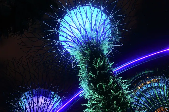 Framed Print : Lightshow, The Gardens by the Bay, Singapore Framed Print : Lightshow, The Gardens by the Bay, Singapore