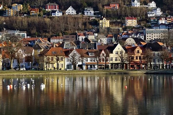 Lille Lungegard lake, Bergen, Norway, Scandinavia, Europe