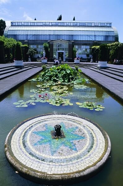 Lily pond and fountain