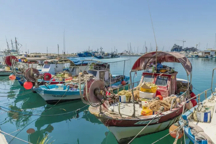 Framed Print : Limassol Marina harbour in Limassol, Cyprus, Mediterranean, Europe Framed Print : Limassol Marina harbour in Limassol, Cyprus, Mediterranean, Europe