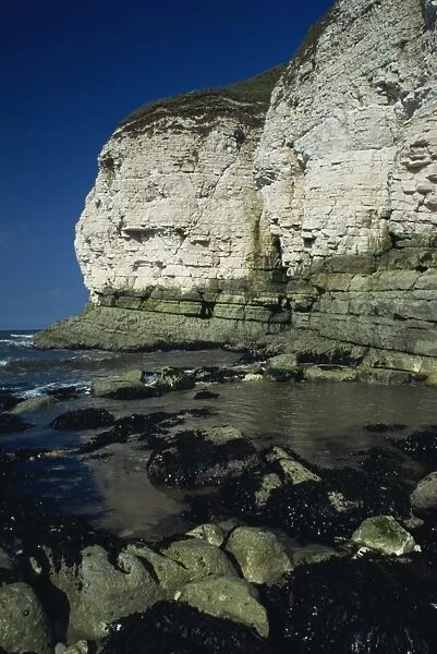 Limestone cliffs, Thornwick Bay, Humberside, England, United Kingdom, Europe