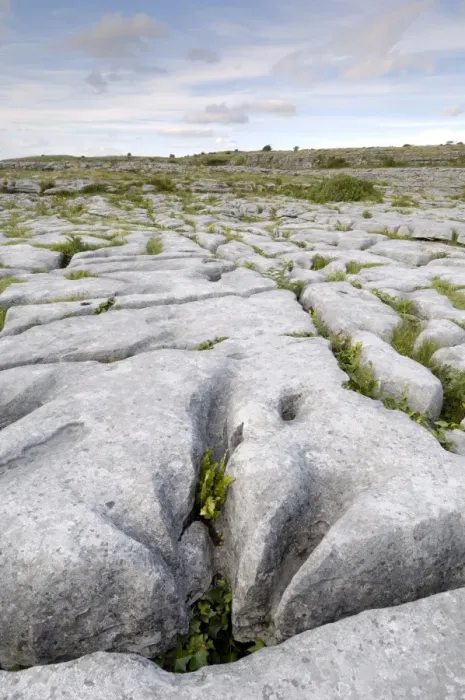 Framed Print : Limestone pavement Framed Print : Limestone pavement