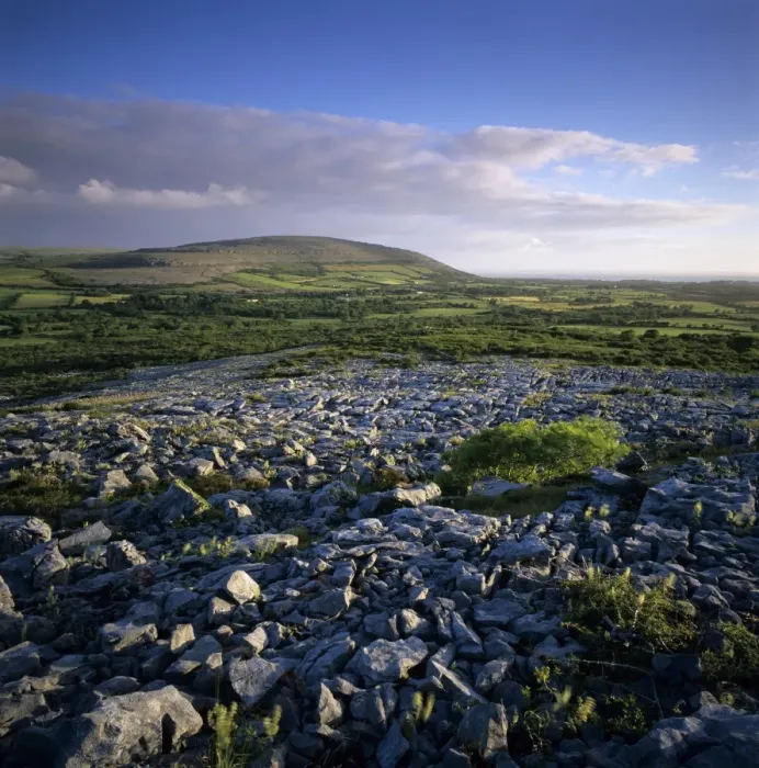 Framed Print : Limestone pavement, The Burren, County Clare, Munster, Republic of Ireland, Europe Framed Print : Limestone pavement, The Burren, County Clare, Munster, Republic of Ireland, Europe