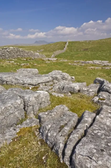Framed Print : Limestone pavement and dry stone wall above Settle, Yorkshire Dales National Park Framed Print : Limestone pavement and dry stone wall above Settle, Yorkshire Dales National Park