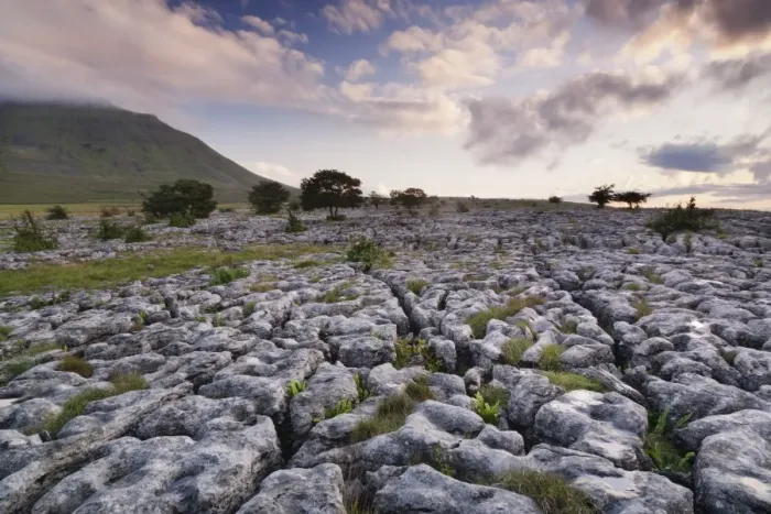 Framed Print : Limestone pavement and Ingleborough mountain, Ingleborough National Nature Reserve, Yorkshire Dales, North Yorkshire, England, United Kingdom, Europe Framed Print : Limestone pavement and Ingleborough mountain, Ingleborough National Nature Reserve, Yorkshire Dales, North Yorkshire, England, United Kingdom, Europe