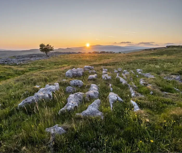 Framed Print : Limestone pavement and lone Hawthorn tree in evening sunlight, Winskill Stones Nature Reserve, Stainforth, Yorkshire Dales National Park, Yorkshire, England, United Kingdom, Europe Framed Print : Limestone pavement and lone Hawthorn tree in evening sunlight, Winskill Stones Nature Reserve, Stainforth, Yorkshire Dales National Park, Yorkshire, England, United Kingdom, Europe