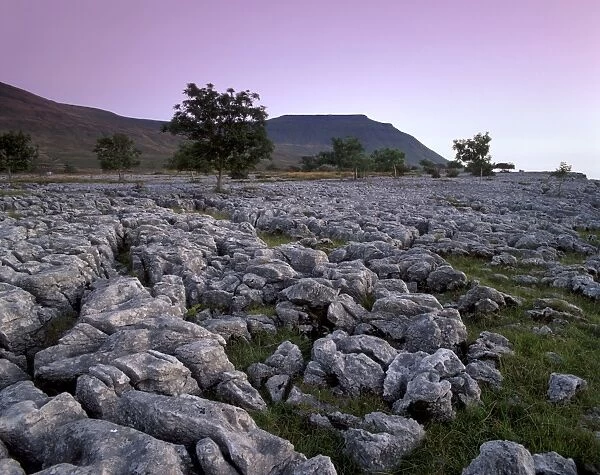 Limestone pavements near Chapel-le-Dale, Yorkshire Dales, National Park