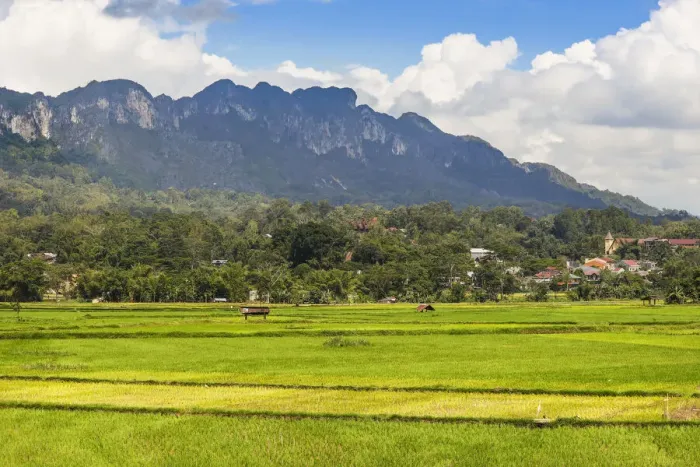 Framed Print : Limestone peaks including 1231m Gunung Buntu Sarira and rice paddies in the River Sadang valley, Sarira, Toraja, South Sulawesi, Indonesia, Southeast Asia, Asia Framed Print : Limestone peaks including 1231m Gunung Buntu Sarira and rice paddies in the River Sadang valley, Sarira, Toraja, South Sulawesi, Indonesia, Southeast Asia, Asia