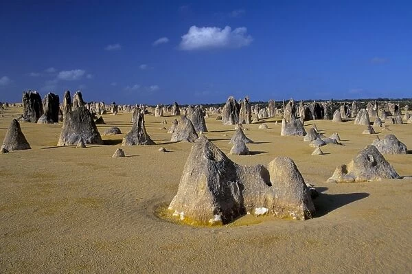 Limestone pillars in the Pinnacles Desert, Nambung National Park, Western Australia